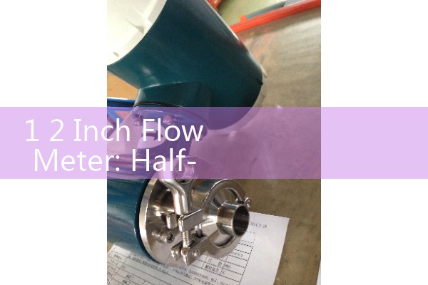 1 2 Inch Flow Meter: Half-Inch NPT Mechanical and Electronic Sensors